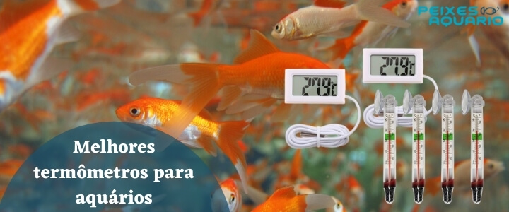 termômetros-de-aquários